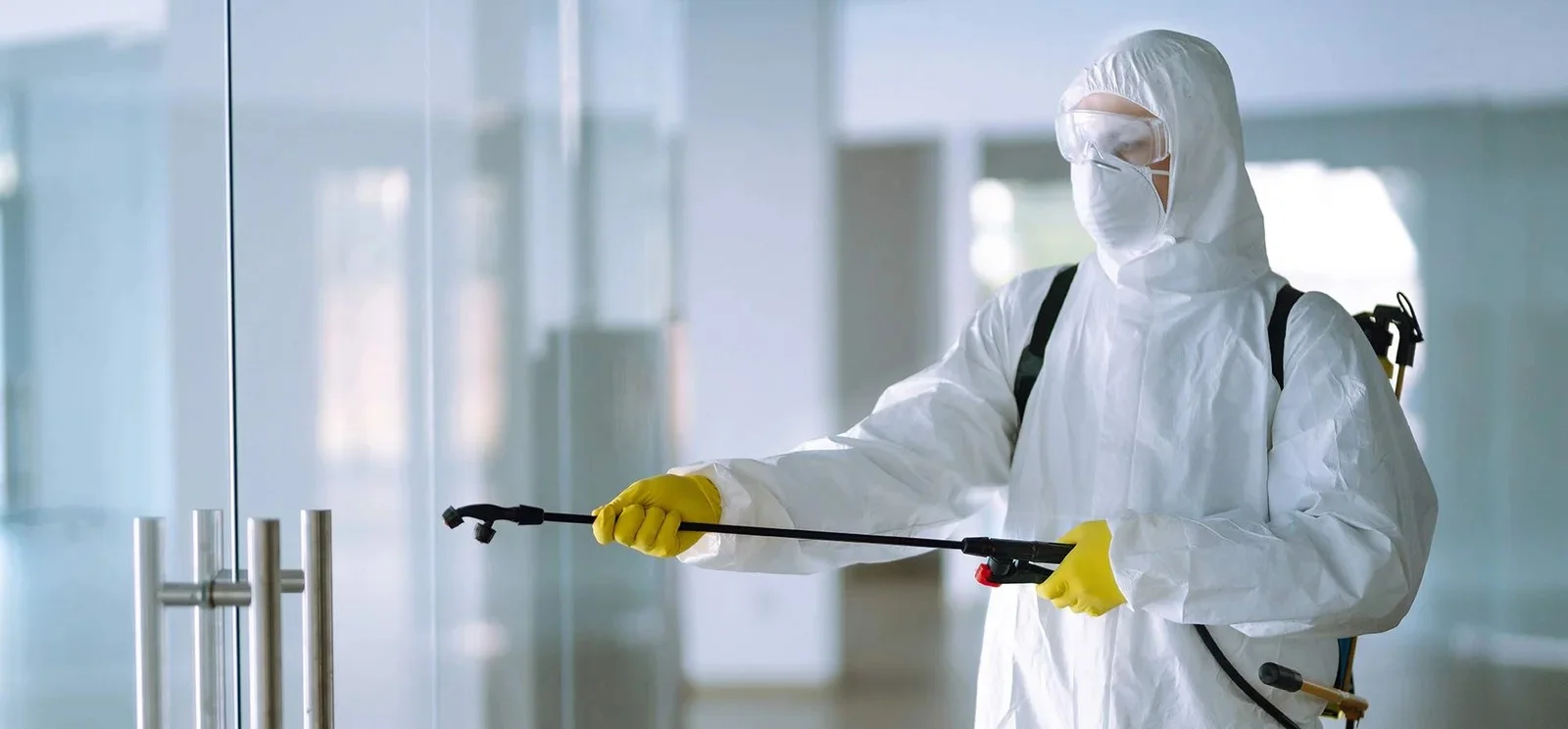 Bed Bug Elimination Service