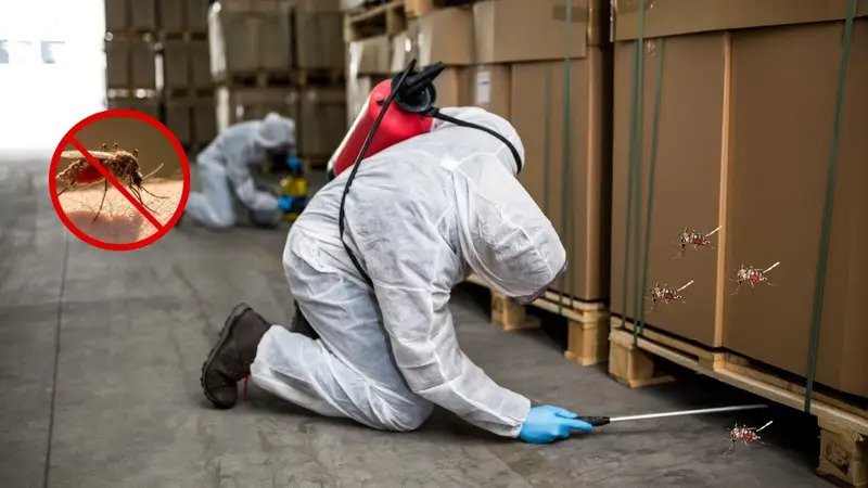 Herbal Mosquito Control Service