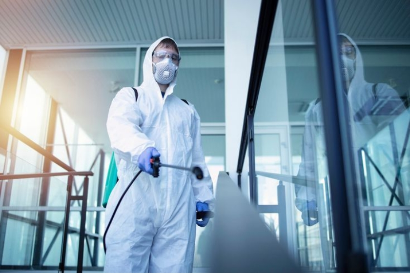 Herbal Pest Control Services in Indore, Madhya Pradesh