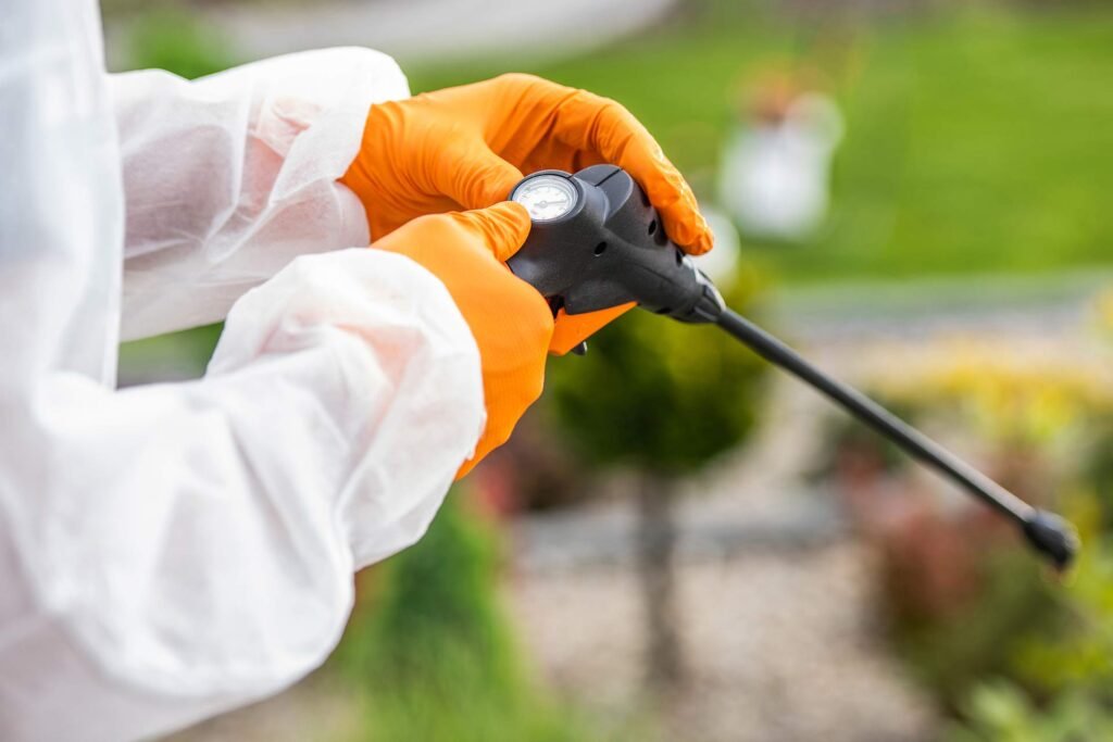 Ant Control Guide how to get rid of ants fast and prevent future infestations with simple cleaning tips, natural remedies, and smart prevention habits.