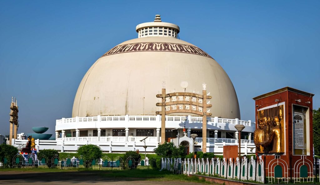 Best Pest Control Services in Nagpur