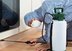 powerful termite control Solutions in Manish Nagar