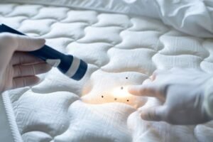 bed bug treatment