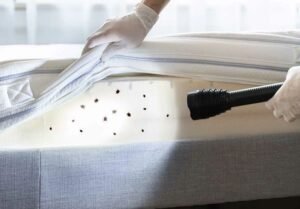 best home pest control services