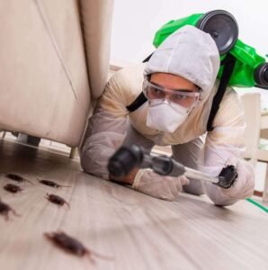 budget friendly pest control services 