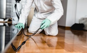 budget-friendly pest control services 
