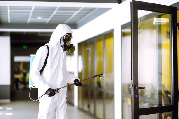 Best Pest Control Services in Jaripatka Nagpur – 2026