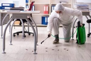 pest control services in Sadar