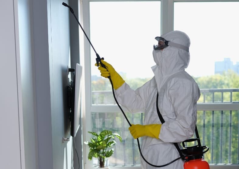 5 Powerful Termite Control Solutions in Manish Nagar