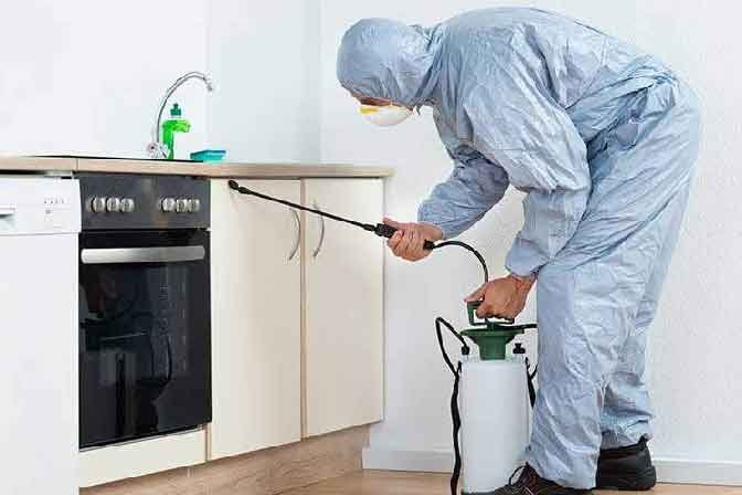 5 Powerful Best Pest Control Services Near Manish Nagar