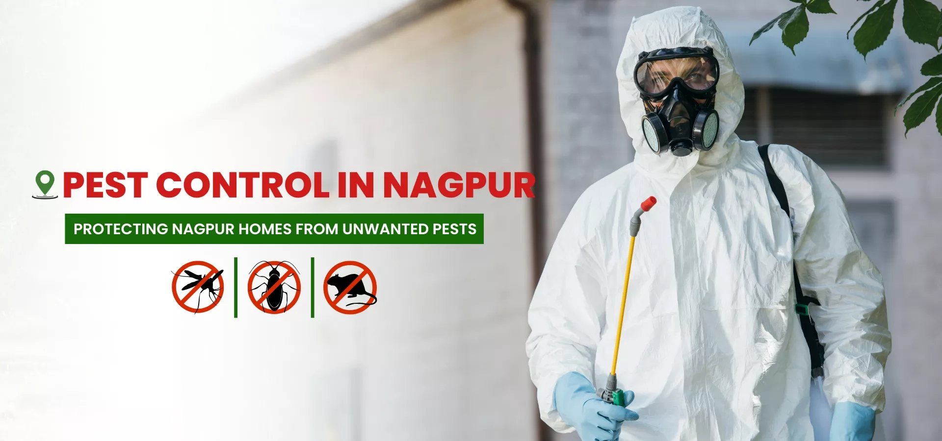Pest control services Nagpur