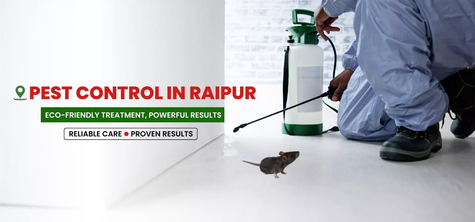 pest control services Raipur