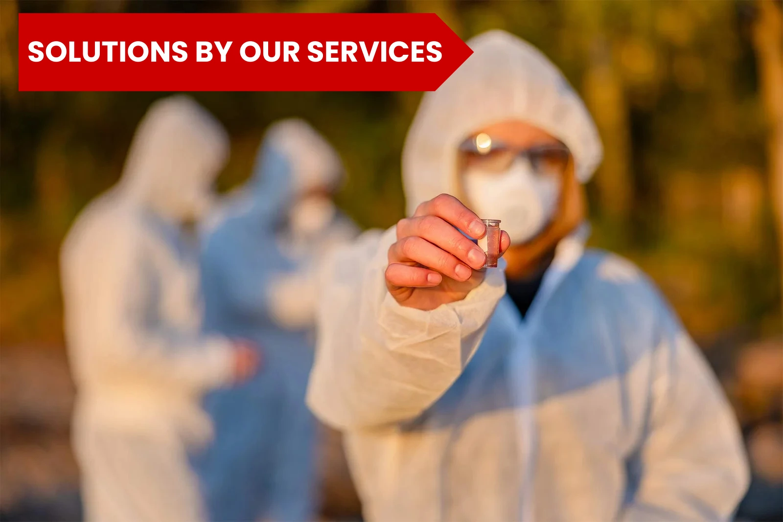 solution to pest problems