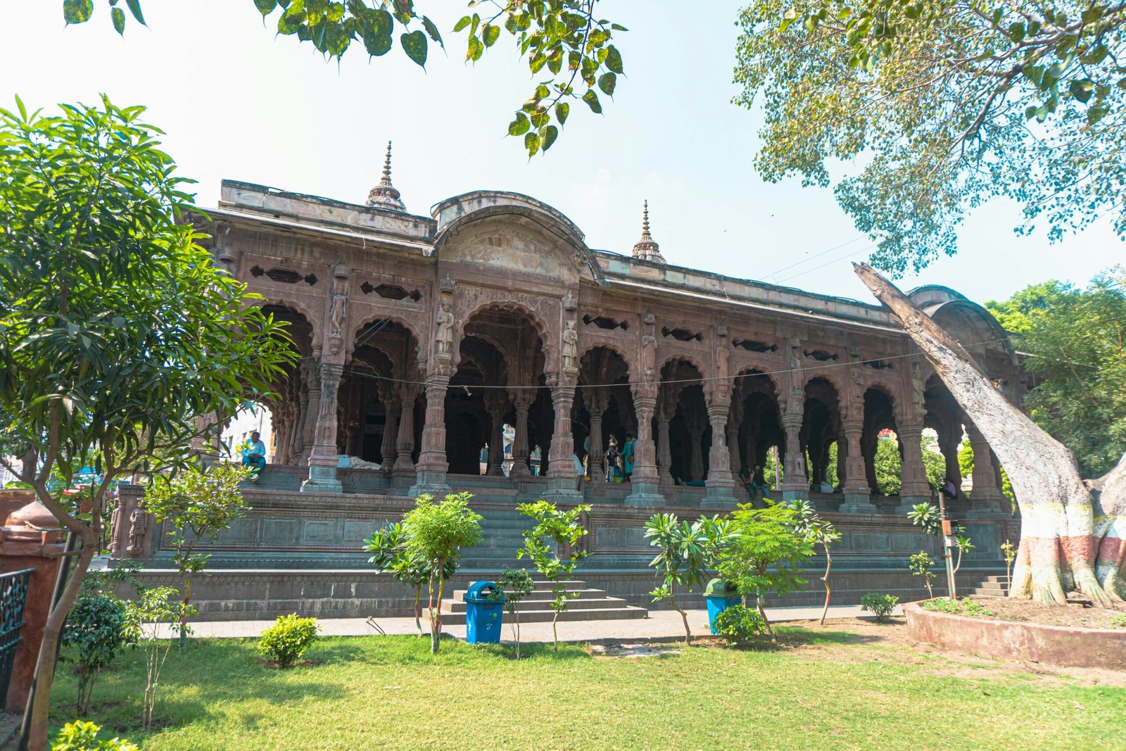 cockroach control services in Indore