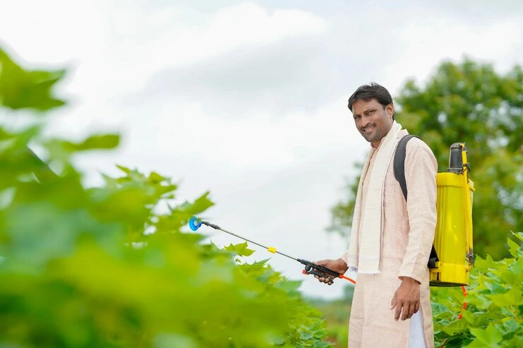 natural pest control solutions