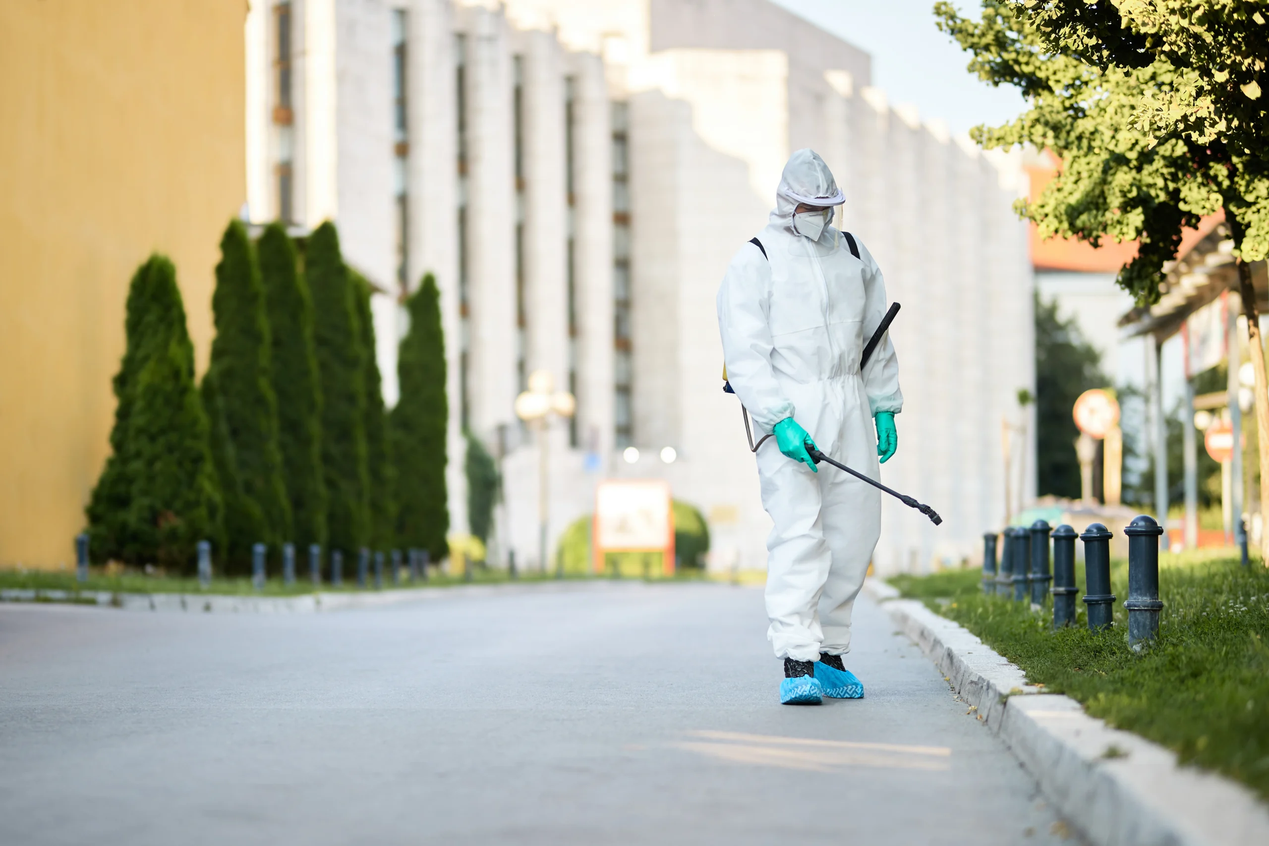 7 Best Natural Pest Control Solutions That Actually Work