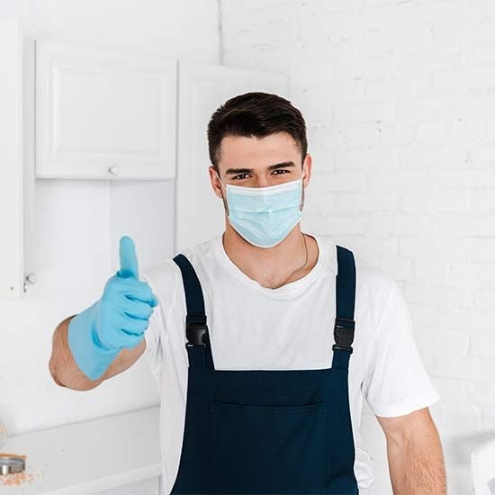 contact trusted herbal pest control services